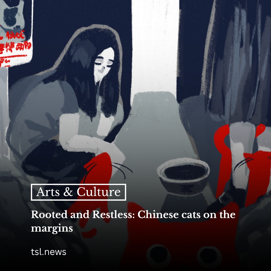 Rochelle Lu SC ’28 returns with her cultural column, “Rooted and Restless,” to explore what China’s stray cats reveal about the society around them. 

Drawing on her memories of seeing stray cats everywhere in Shanghai and the stories of the three cats her family took in, Lu examines how animal welfare is shaped by social structures, cultural attitudes and even misogyny. 

“They were not ‘adopted’ in the American sense of the word, but they were found on the streets,” Lu writes. 

From the historical opinion towards animals in China to the misogyny directed at the people who protect them, her column asks what the treatment of strays can tell us about vulnerability and care.

Words by Rochelle Lu | Graphic by Shixiao Yu
Read more at the link in our bio.